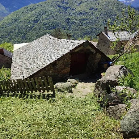 De Montagne * Lapege